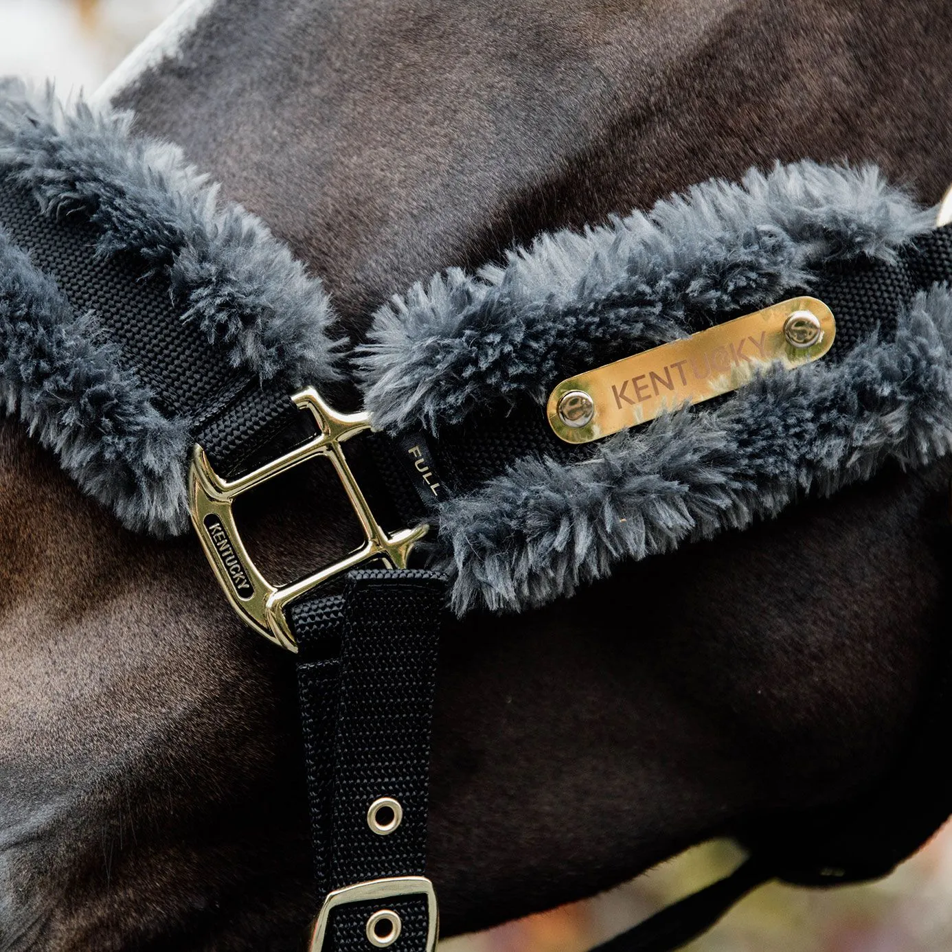 Kentucky Horsewear Nylon Sheepskin Headcollar - Grey